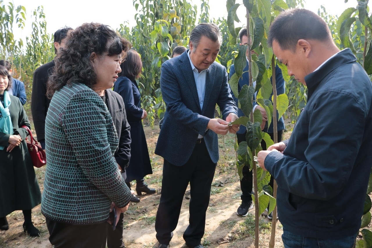 微信图片_20191107103433_wps图片.jpg 微信图片_20191107103433_wps图片.jpg