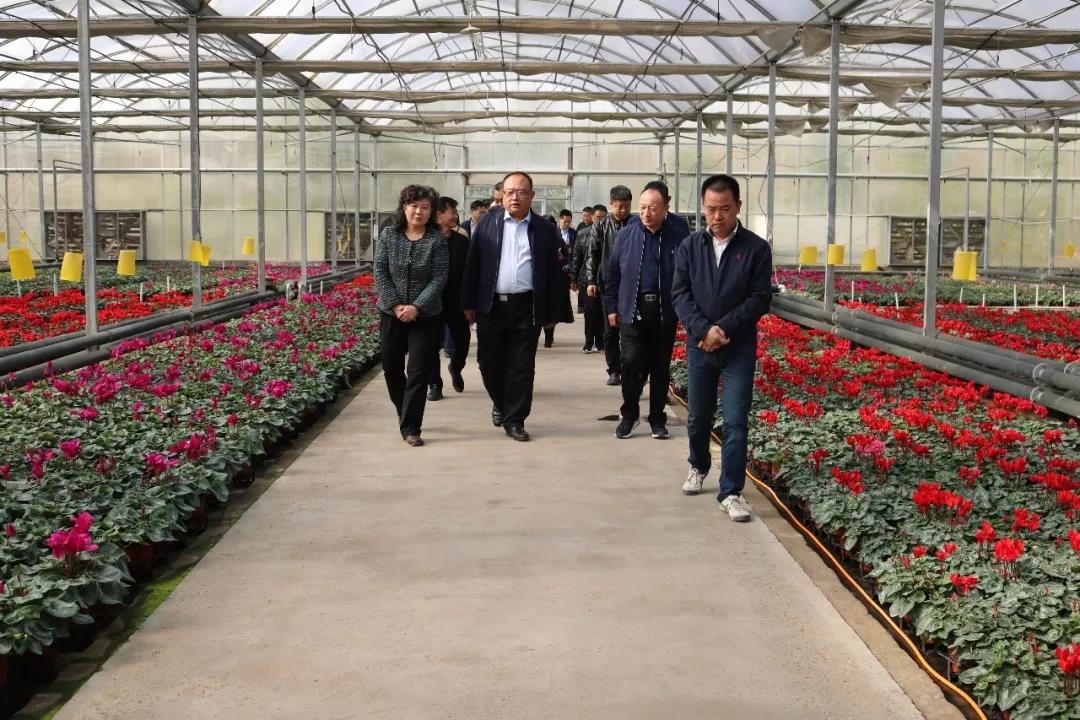 微信图片_20191107103357_wps图片.jpg 微信图片_20191107103357_wps图片.jpg