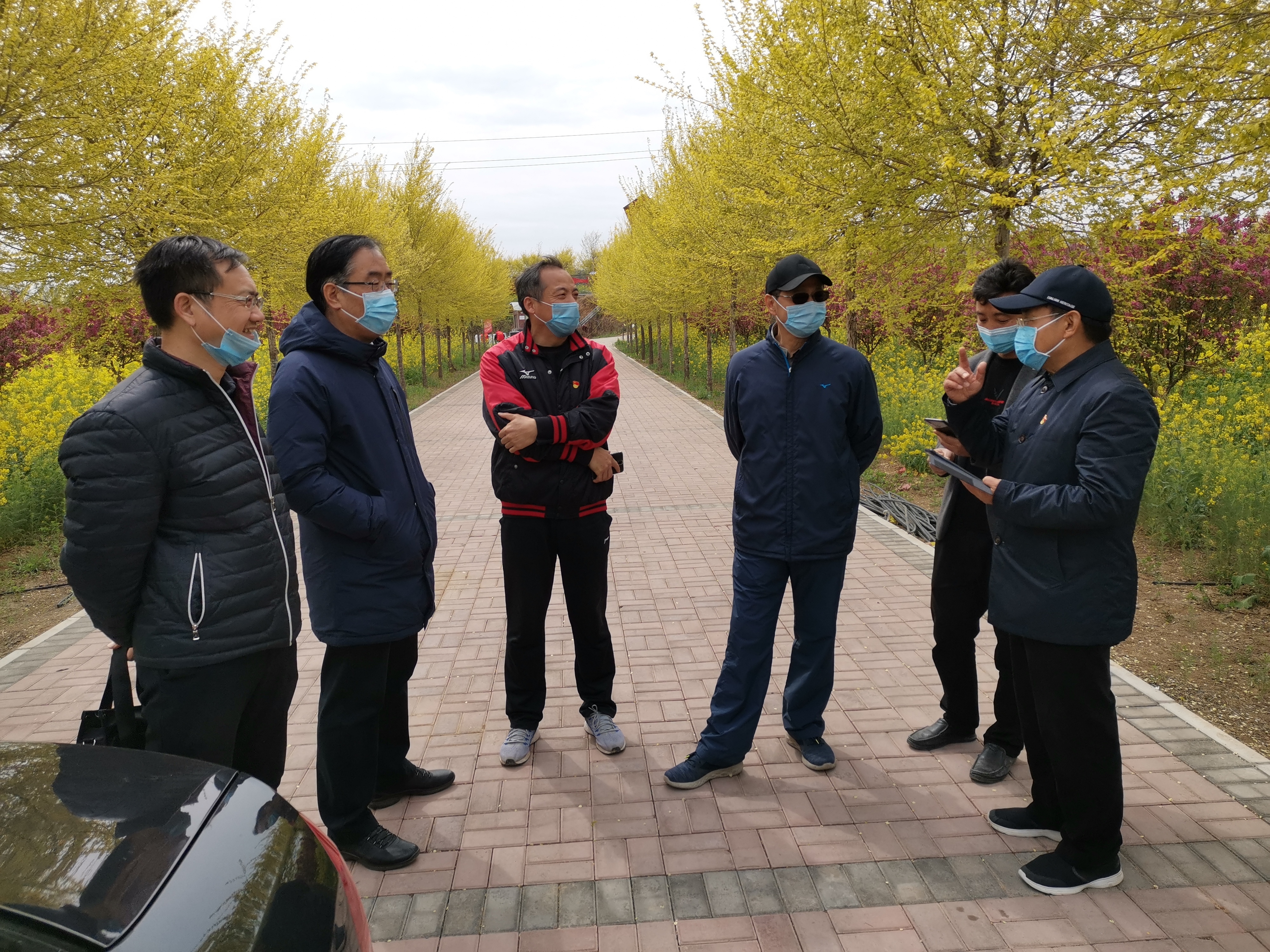 领导调研3.jpg 领导调研3.jpg