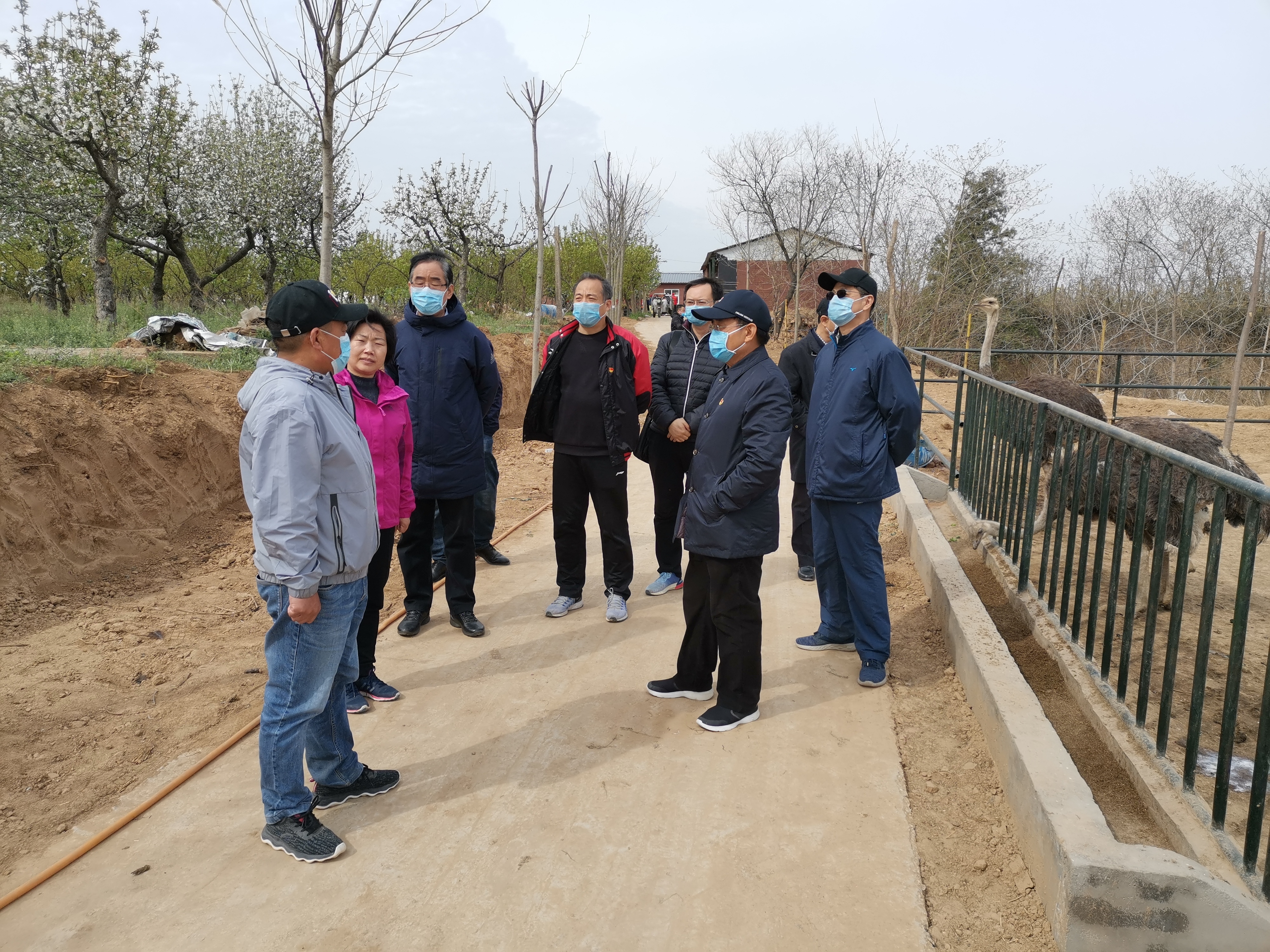 领导调研2.jpg 领导调研2.jpg