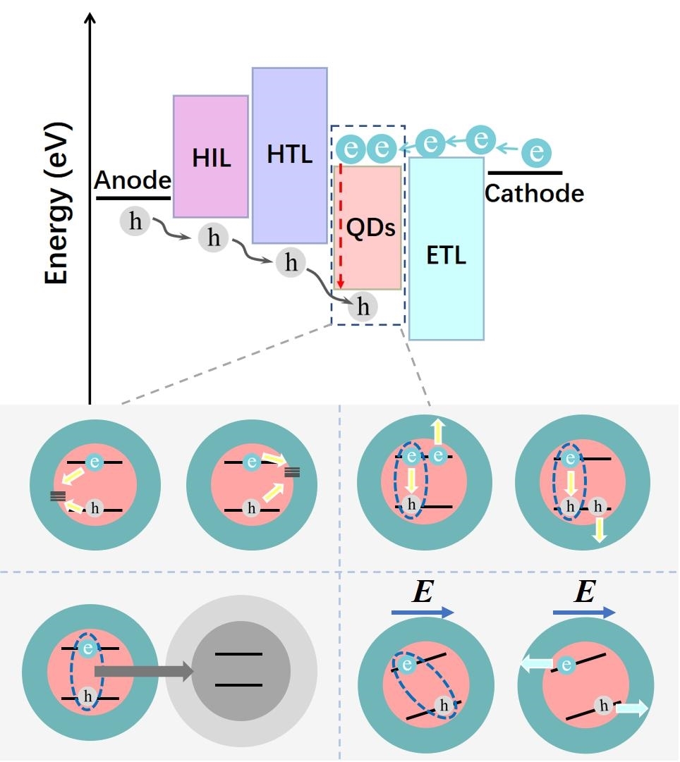 图片7.jpg 图片7.jpg