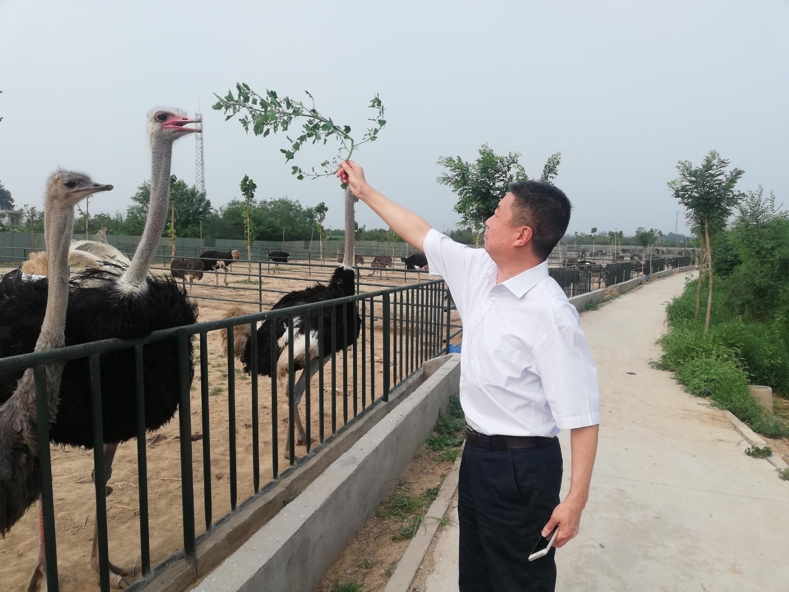 微信图片_20200701160015.jpg 微信图片_20200701160015.jpg