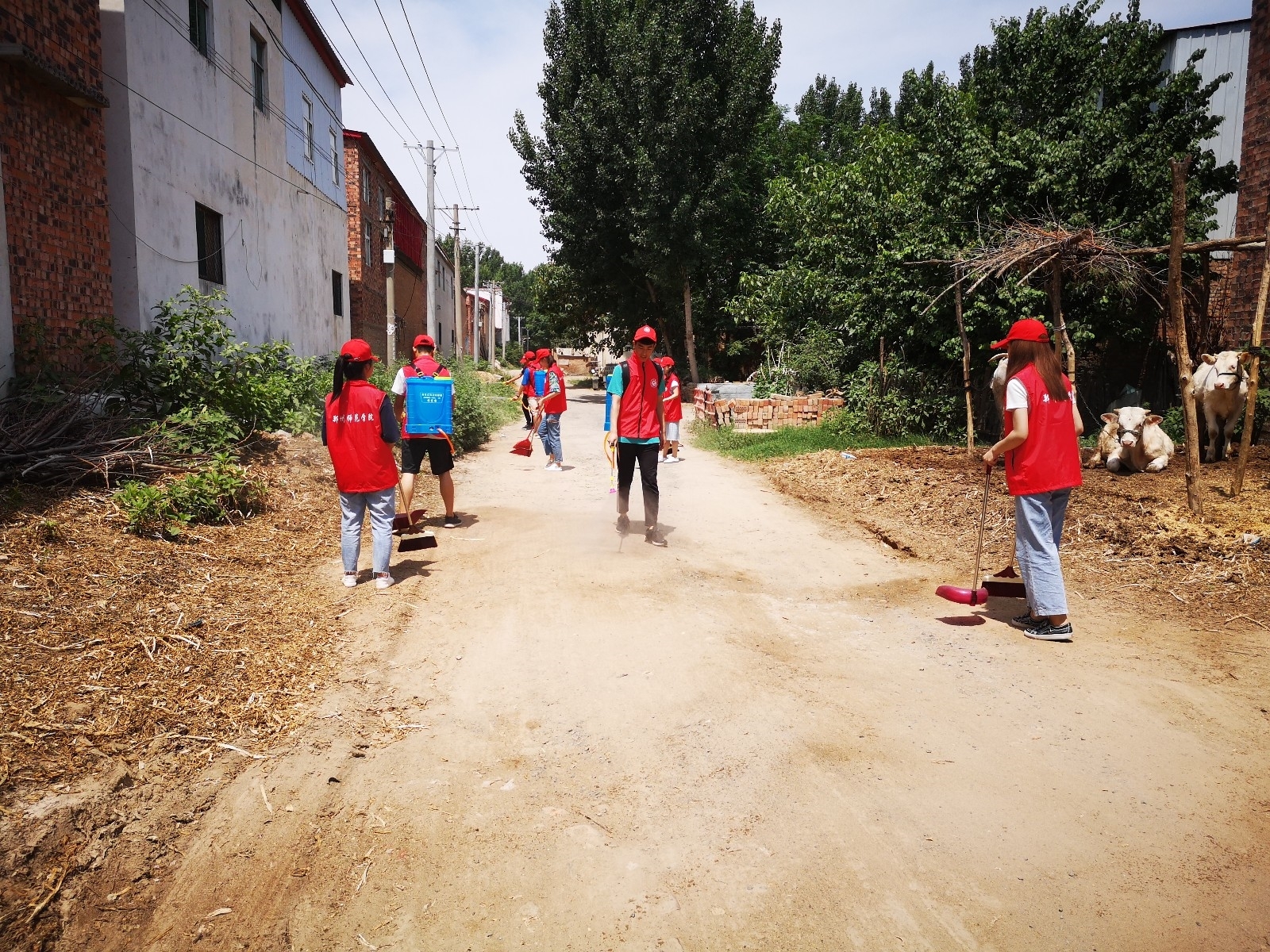 微信图片_20190611173039.jpg 微信图片_20190611173039.jpg