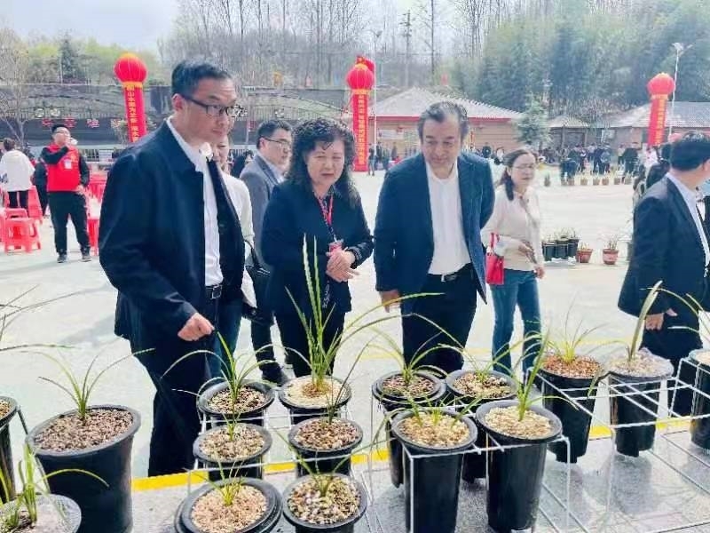 微信图片_20230403092504.jpg 微信图片_20230403092504.jpg