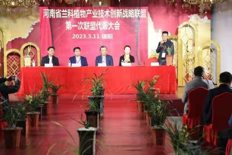 8f0a131ff6597297cbc5b3fa2295345.jpg 8f0a131ff6597297cbc5b3fa2295345.jpg