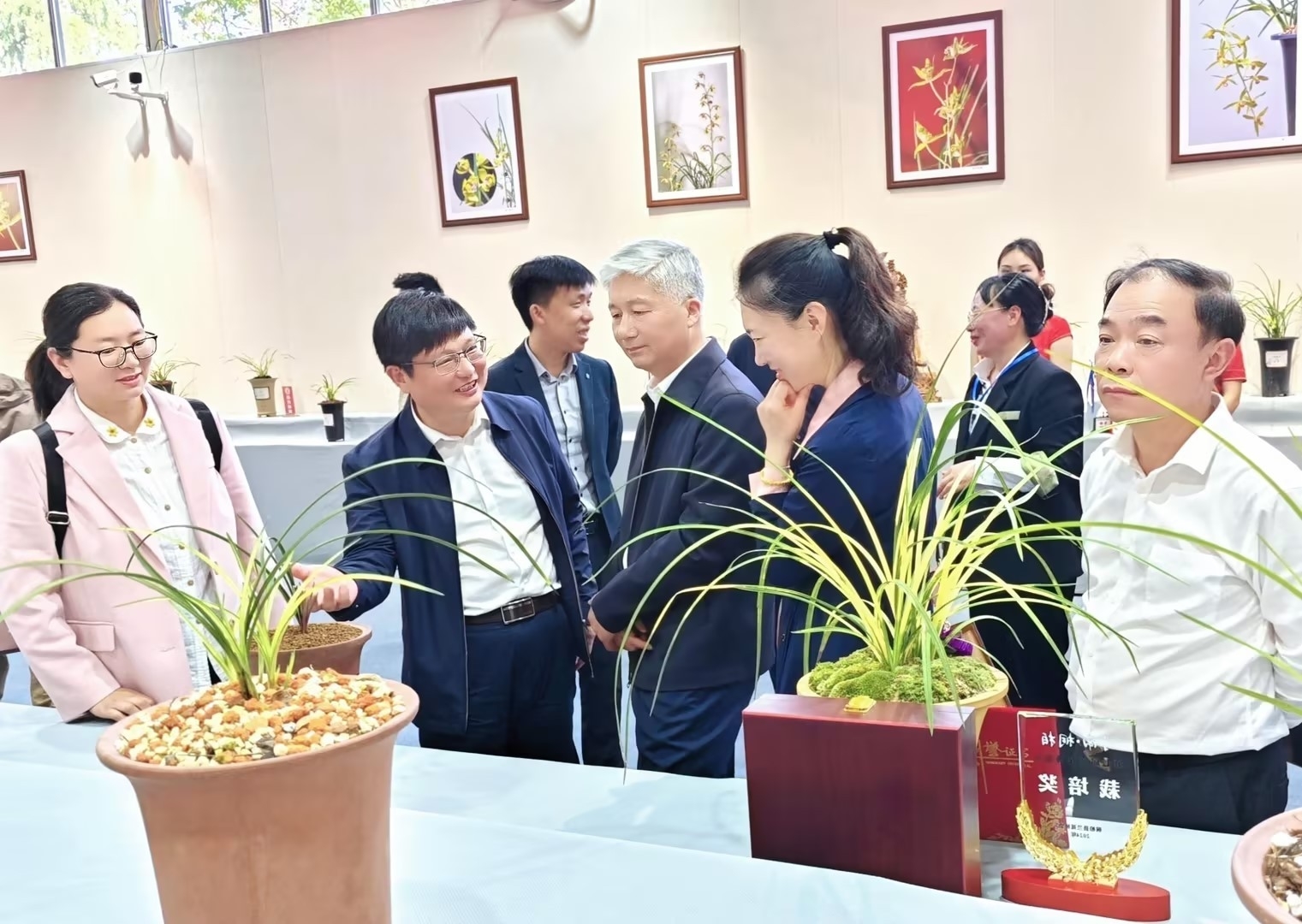 兰花节.jpg 兰花节.jpg