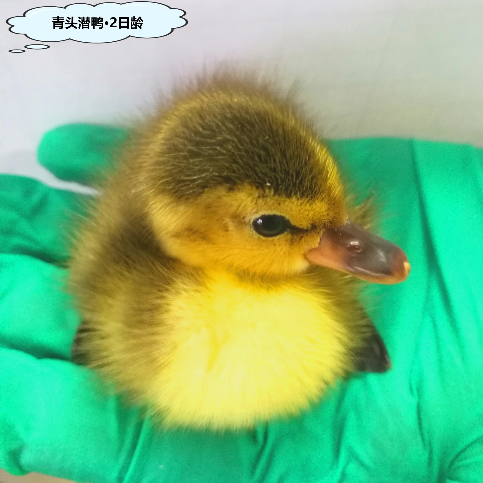 微信图片_20240424091220.jpg 微信图片_20240424091220.jpg