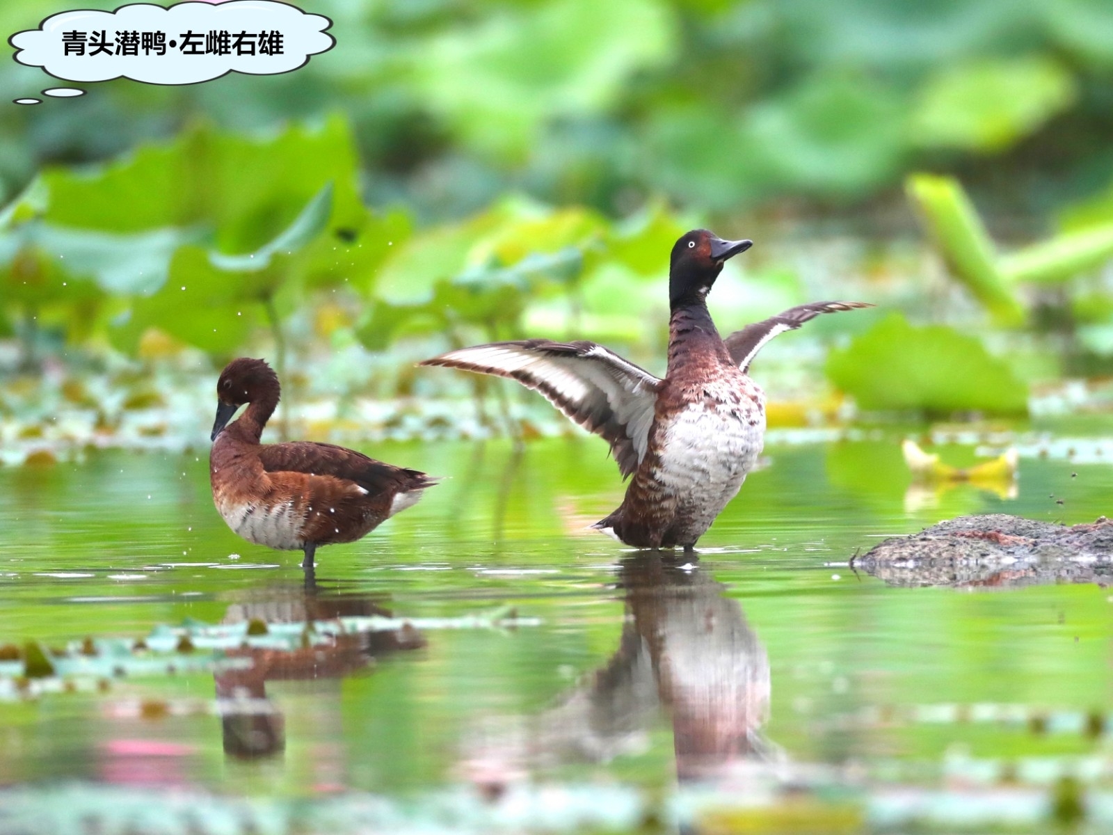 微信图片_20240424091212.jpg 微信图片_20240424091212.jpg