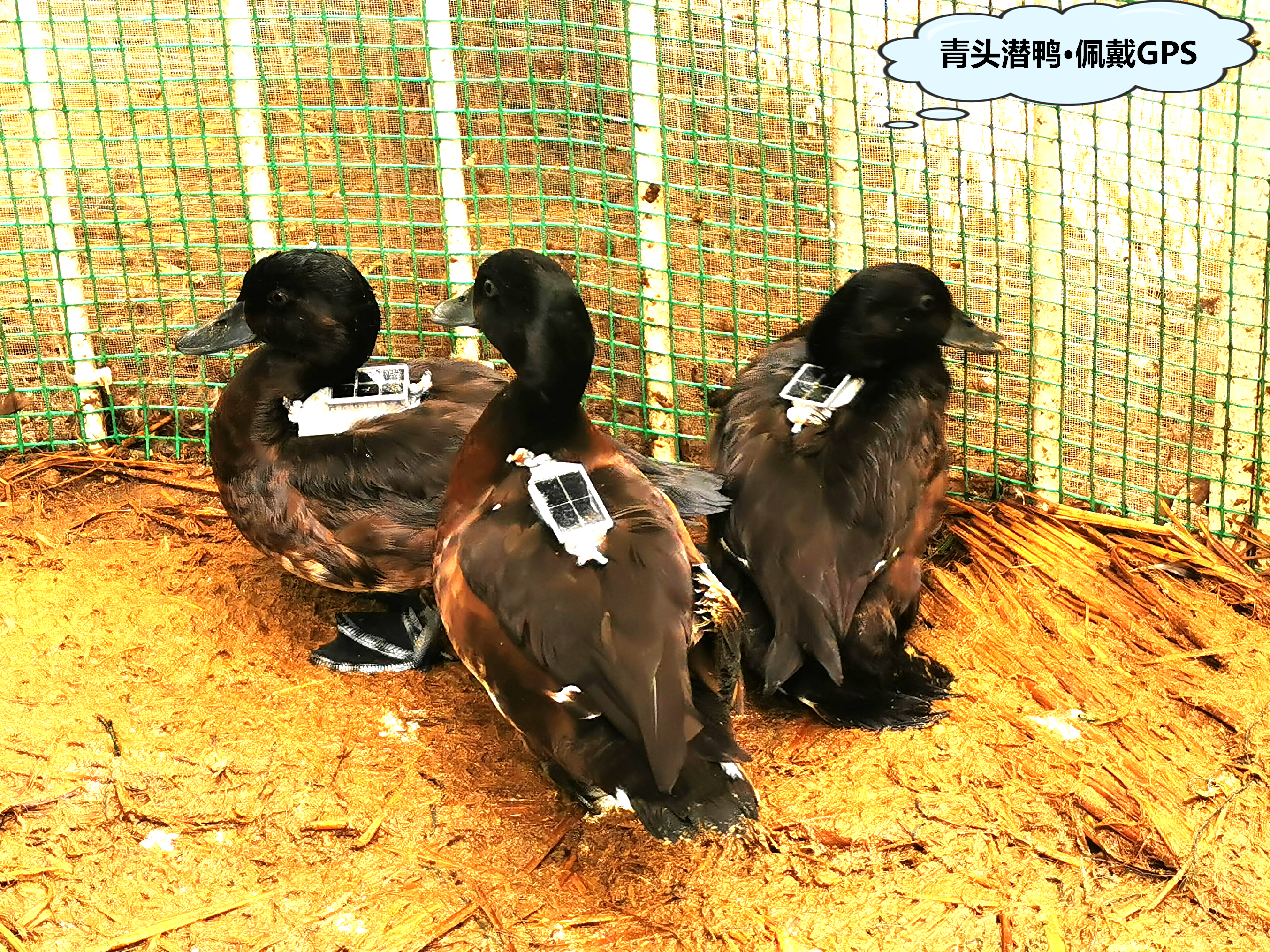 微信图片_20240424091224.png 微信图片_20240424091224.png