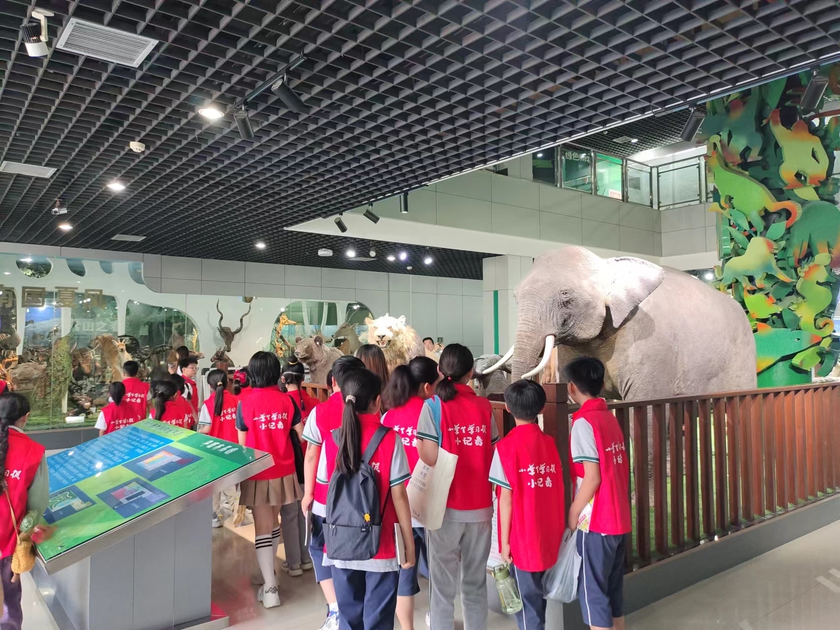 微信图片_20240618171944.jpg 微信图片_20240618171944.jpg